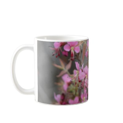 Mexican Buckeye in Bloom Coffee Mugs by JaguarPhotos