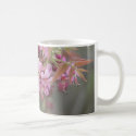 Mexican Buckeye in Bloom mug
