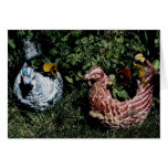 Mexican Chickens