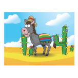 Mexican Donkey Post Cards