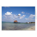 Mexican Dream, S Cyr cards