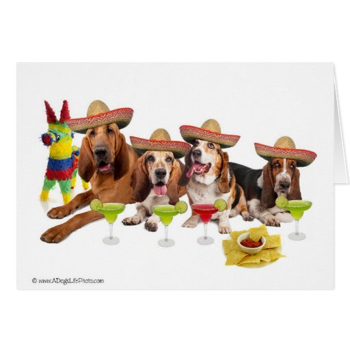 Mexican Fiest Card