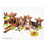 Mexican Fiest Personalized Invitations