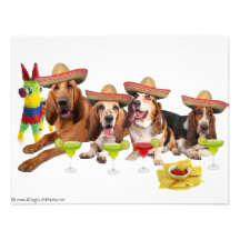 Mexican Fiest Personalized Invitations