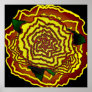 mexican flower print