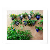 Mexican Garden Pottery posters