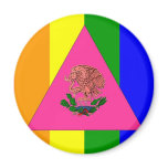 Mexican Gay Pride Flag magnets