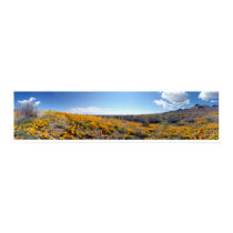 Mexican Golden Poppies - Franklin Mountains posters by MiCasaTours Mexican Golden Poppies - Franklin Mountains posters