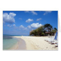 Mexican Paradise, S Cyr cards