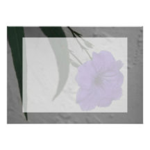 Mexican Petunia  flower Personalized Invitations