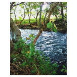 Mexican River Art Print Full Color Flyer