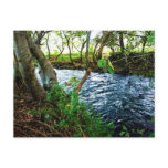 Mexican River Art Print Postcard