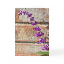 Mexican Sage Fluorishes Against Warm Brick cards by buckaroostyle Mexican Sage Fluorishes Against Warm Brick cards