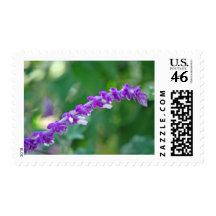 Mexican Sage Postage Stamps