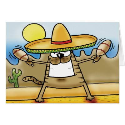 sombrero cat