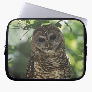 Mexican Spotted Owl Computer Sleeve