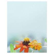 Mexican Sunflower Art Letterhead