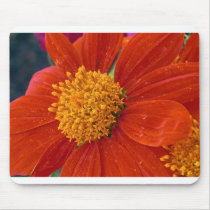 Mexican Sunflower mousepads by Sherlockdonatello Mexican Sunflower mousepads
