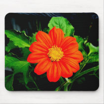 Mexican Sunflower mousepads