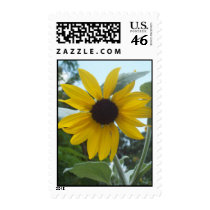 Mexican Sunflower Postage Stamps