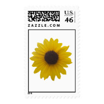Mexican Sunflower Postage Stamps