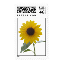 Mexican Sunflower Postage Stamps