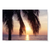MEXICAN SUNSET PALM posters by docwally MEXICAN SUNSET PALM posters