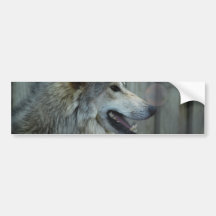 Mexican Wolf Bumper Stickers