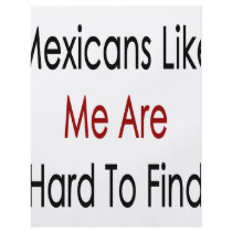 Mexicans Like Me Are Hard To Find flyers