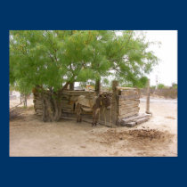 Mexico Badlands canvas posters