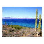Mexico, Baja California Sur, Mulege, Bahia 2 Postcards