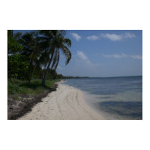 Mexico Beach posters