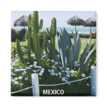 MEXICO CACTI REFRIGERATOR MAGNETS