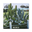 MEXICO CACTI magnets
