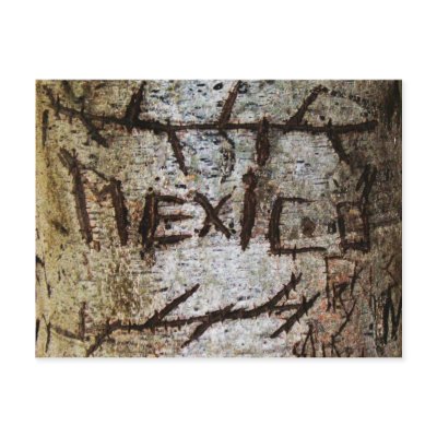"Mexico" Carved Tree Graffiti Post Card by JuJuGardens