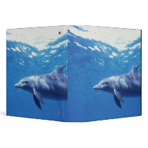 Mexico, Cozumel. Bottlenosed Dolphin, Tursiops 3 3 Ring Binder