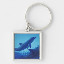 Mexico, Cozumel. Bottlenosed Dolphin, Tursiops Key Chain
