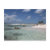 destination, people, person, ocean, cozumel,