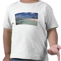 Mexico, Cozumel, Punta Morena, the east coast Tees