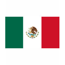 Mexico Flag Kids T-shirt