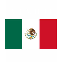 Mexico Flag Ladies Petite T-shirt Black