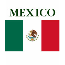 Mexico Flag Ladies Spaghetti Top Shirts