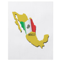 Mexico Custom Flyer