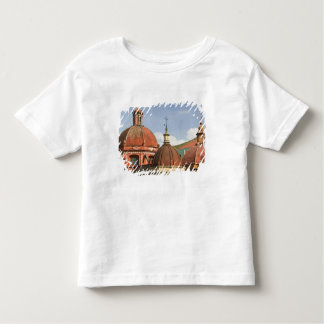 guanajuato t shirts