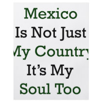 Mexico Is Not Just My Country It's My Soul Too flyers by Supernova23 Mexico Is Not Just My Country It's My Soul Too flyers