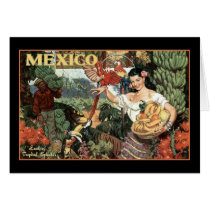 mexico land of tropical splendour cards