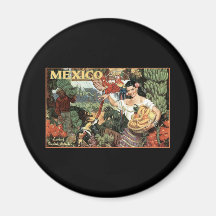 mexico land of tropical splendour magnet