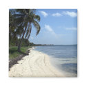 Mexico Magnet by catchstars Mexico Magnet