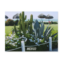 MEXICO postcards by minx267 MEXICO postcards