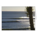 Mexico Surf cards by zazzelme2 Mexico Surf cards